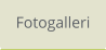 Fotogalleri